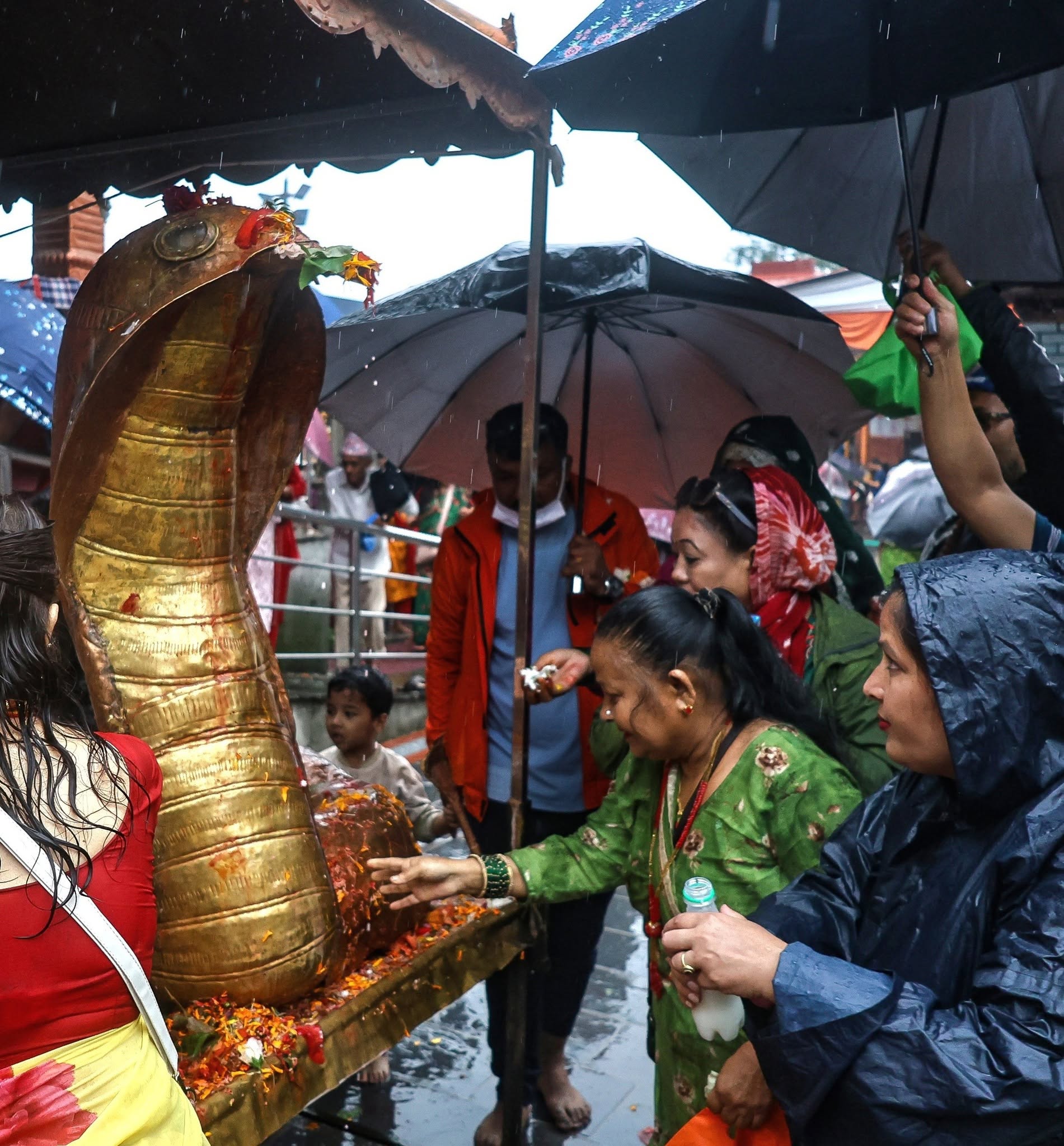 आज नाग पञ्चमी : नागको पूजा गरी गरिंदै