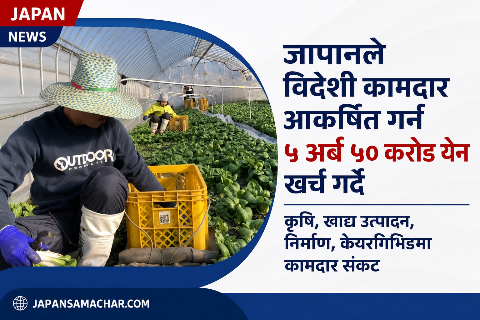 जापानका प्रिफेक्चरले विदेशी कामदार आकर्षित गर्न ५.५ अर्ब येन खर्च गर्ने