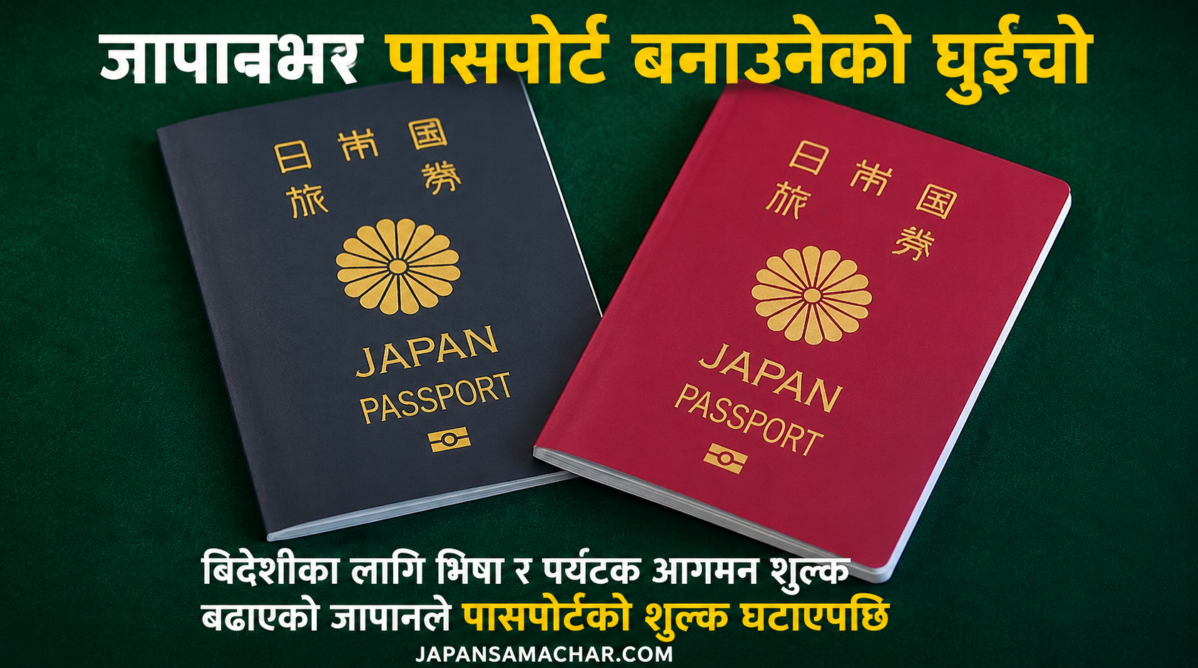 जापानमा राहदानी शुल्क घटेपछि आवेदनको बाढी, तीन दिनमै १ लाख ५५ हजारभन्दा बढी आवेदन
