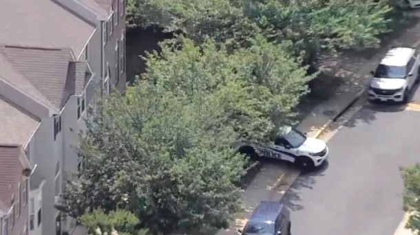 अमेरिकामा एकै परिवारका चारजना नेपाली पार्कमा मृत फेला