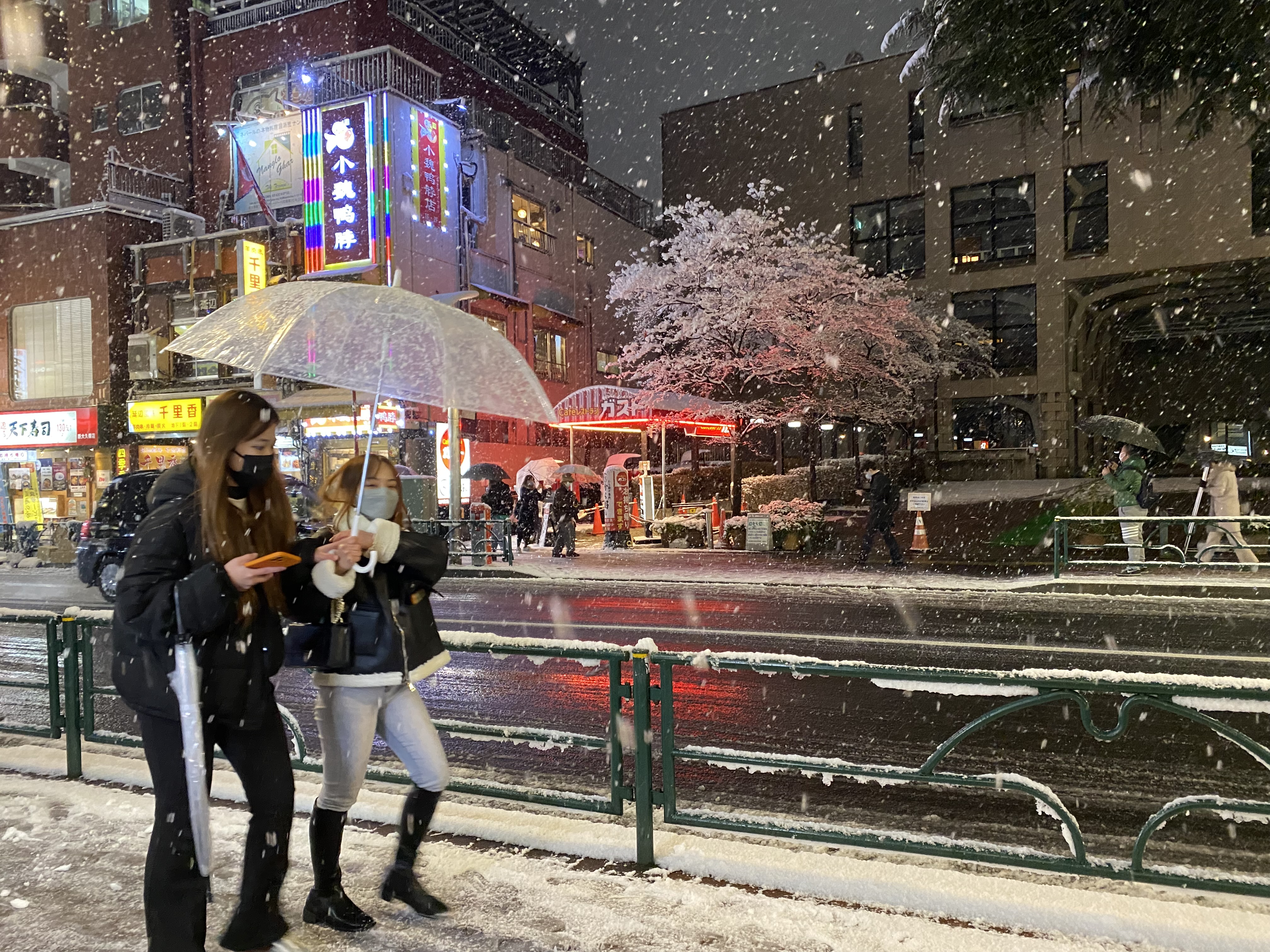 टोकियो आसपासको क्षेत्रमा भारि हिमपातको चेतावनी