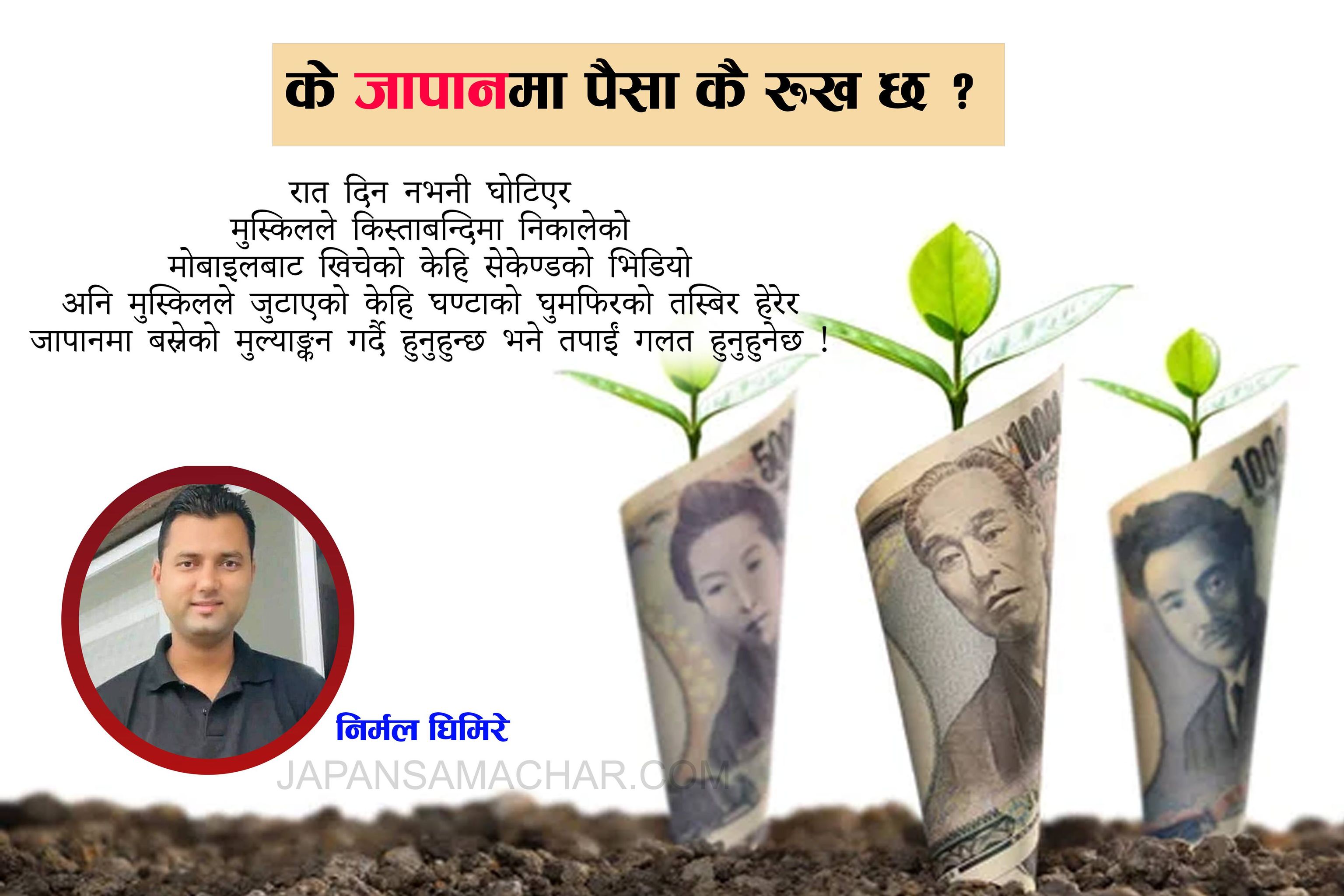 जापानमा रुखमा पैसा फल्छ र ?